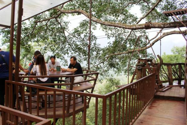 絶景を望む巨大なツリーハウスのカフェ「ザ・ジャイアント・チェンマイ」