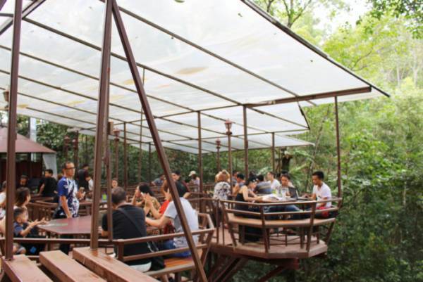 絶景を望む巨大なツリーハウスのカフェ「ザ・ジャイアント・チェンマイ」