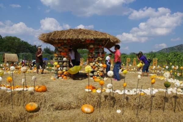 お土産から期間限定ファームまで！ジムトンプソンを巡る旅