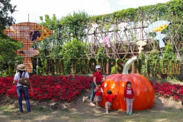 お土産から期間限定ファームまで！ジムトンプソンを巡る旅