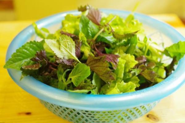 肉たっぷりで満足度高め！ハノイで人気のブンチャー専門店「Bun Cha Ta」