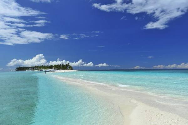 ニタリとの遭遇率は世界ナンバー１！セブ島北端沖のマラパスクア島