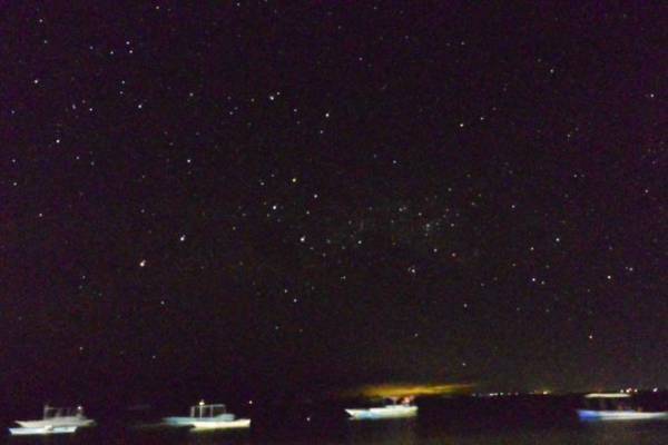 ニタリとの遭遇率は世界ナンバー１！セブ島北端沖のマラパスクア島
