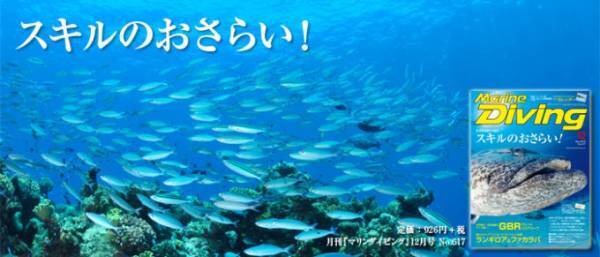 ニタリとの遭遇率は世界ナンバー１！セブ島北端沖のマラパスクア島