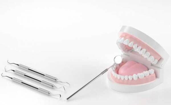 歯の模型と治療器具のイメージ