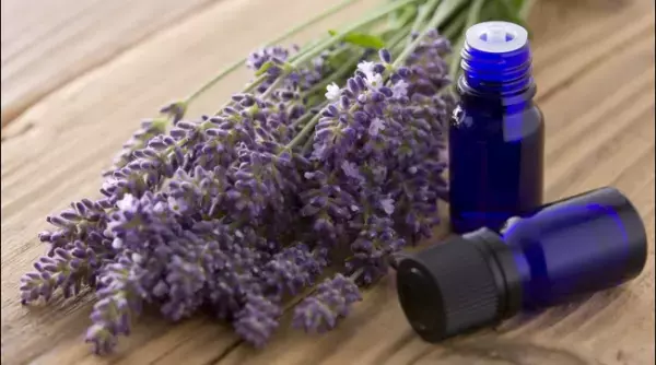 京都発「枕用フレグランス」がリニューアル