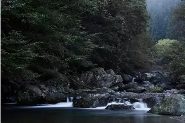 3月より「グラマラスフィッシング」解禁