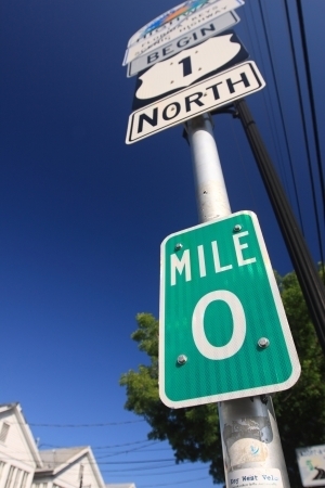 まるでフロリダ！「エバーグレイズ」に新たなキャンプエリア登場