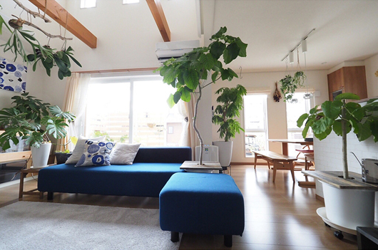 こだわりの住まいが集結！RoomClipの写真キャンペーン「わたしの十人十家」