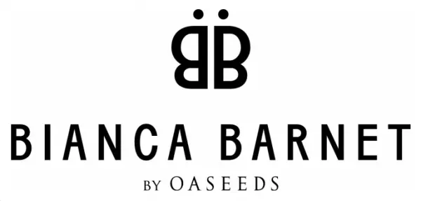 空間装飾ブランドが「フラワーショップ」をプロデュース