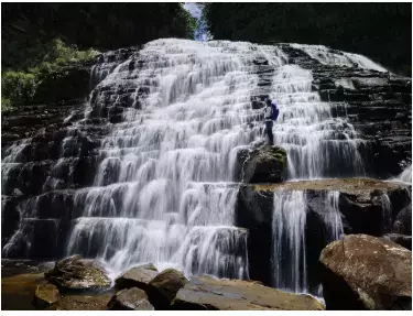 星野リゾート「西表島を熟知したガイドと行くアクティビティツアー」開催