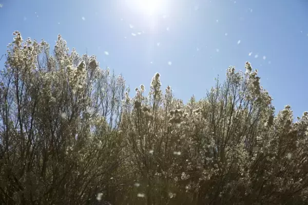 自然と調和する「セレクトショップ」