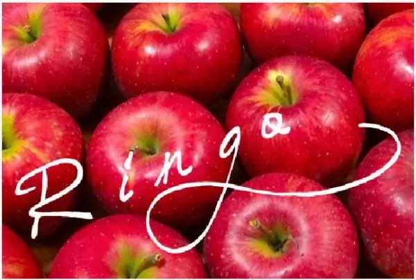 1本5役・誰もが使える「オールインワンジェル」