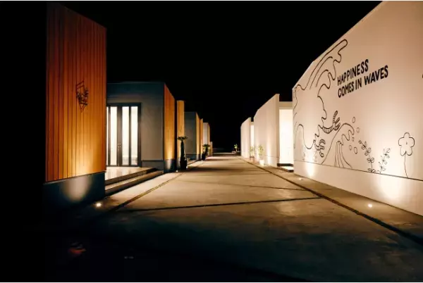 【千葉】巨大「クリスマスツリー」が南房総市に出現