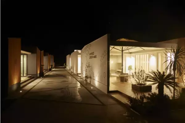 【千葉】巨大「クリスマスツリー」が南房総市に出現