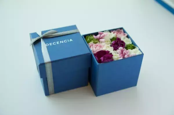 「新サエル先行体験サロン」が開催される