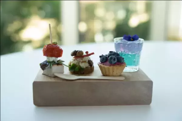 「新サエル先行体験サロン」が開催される