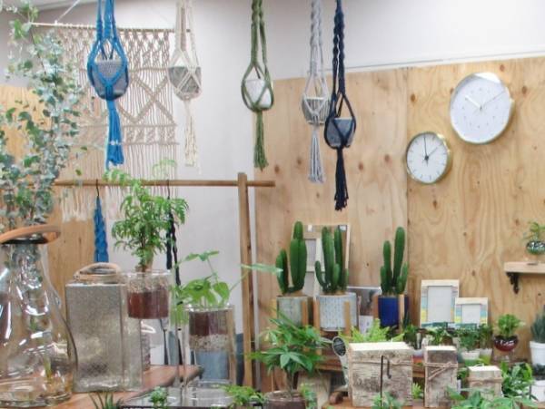部屋にグリーンのある暮らしを！「マクラメ プラントハンギング」