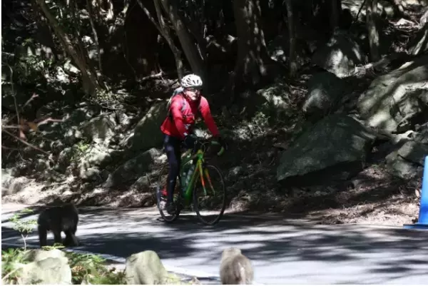 あの芸能人も参加！「屋久島」の自然を楽しむイベント