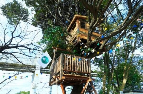 【期間限定】緑に囲まれたツリーハウスカフェ！「椿森コムナ」で夏イベント開催