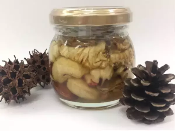 【横浜】駅から直結の公園で「ワークショップ」を開催