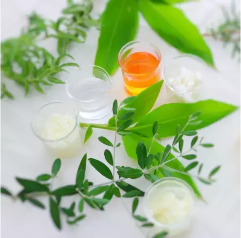 濃厚ハチミツの「リップクリーム」