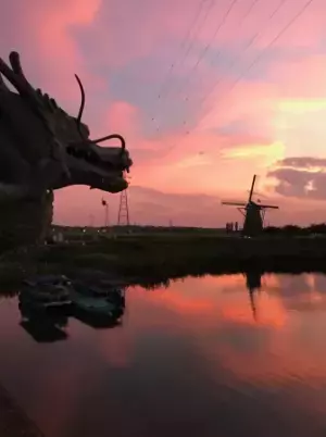 満開の花と過ごすフォトジェニックな1日