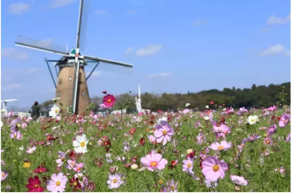 満開の花と過ごすフォトジェニックな1日