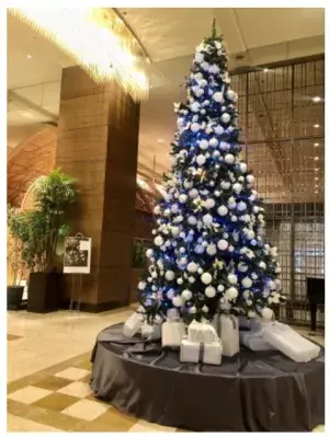 広島市のホテルがクリスマスイルミネーションを点灯