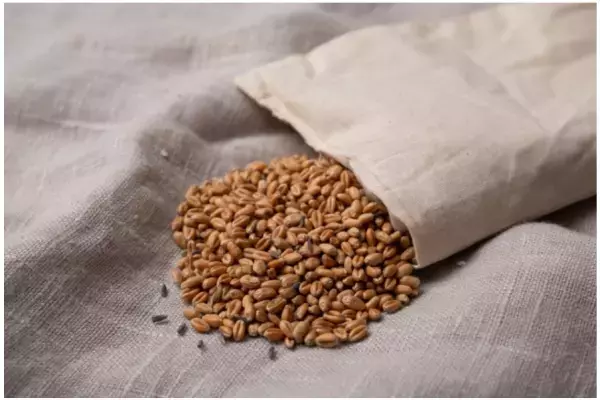 「KLIPPAN 麦の温冷ネックピロー」に新柄が登場