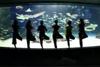 夜のサンシャインシティで「海の中の水族館ヨガ」を体験