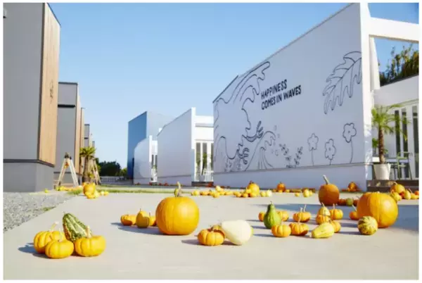 「ザ・カボチャウミベースキャンプ」に遊びに行こう