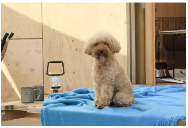 【熱海】愛犬とおトクに楽しむ「秋のアウトドア」