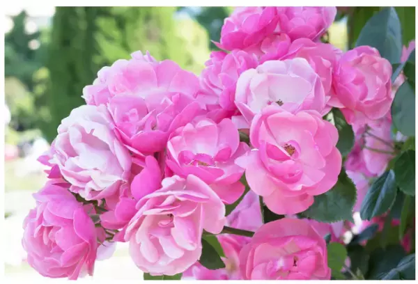 眠りの専門店が「バスソルト」をプロデュース