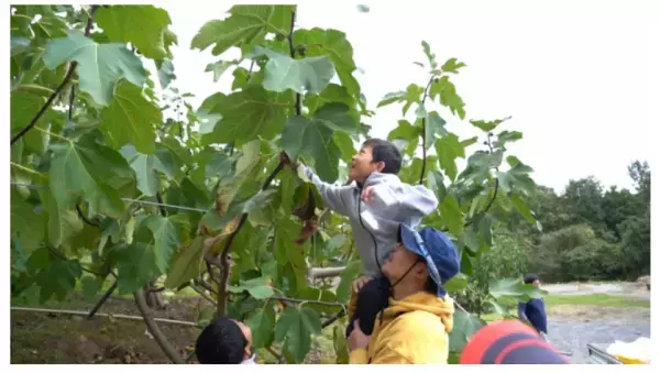 鳥取県の「食と自然」を体験するイベント