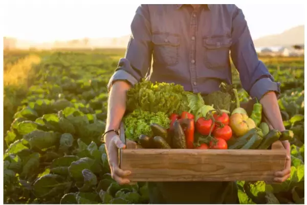 鳥取県の「食と自然」を体験するイベント