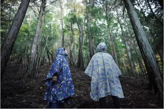 梅雨を楽しむ新しい体験「雨グランピング」