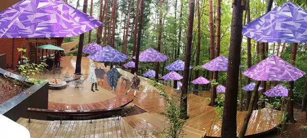 梅雨を楽しむ新しい体験「雨グランピング」