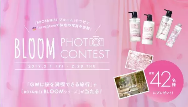 「桜色の写真」で旅行に行けるチャンス！