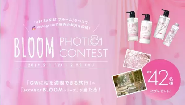 「桜色の写真」で旅行に行けるチャンス！