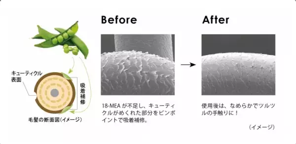 香りで「幸福感」をもたらすシャンプー＆トリートメント