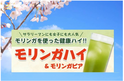 「モリンガハイ」が導入1年で100店舗達成！