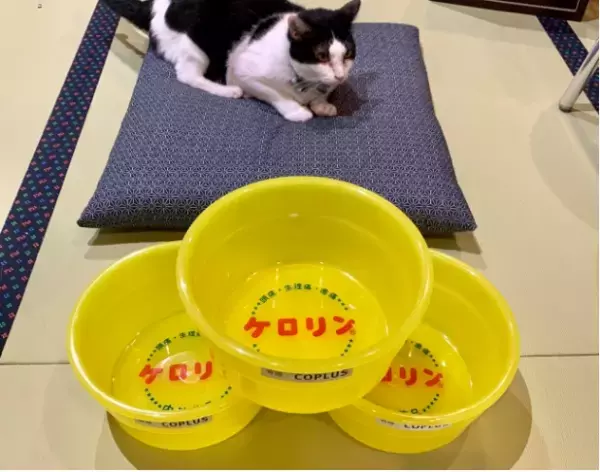 心斎橋で「ねこ浴場」がオープン