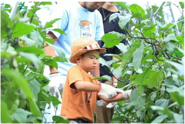 千葉県のアウトレットと「話題の農園リゾート」がコラボ！