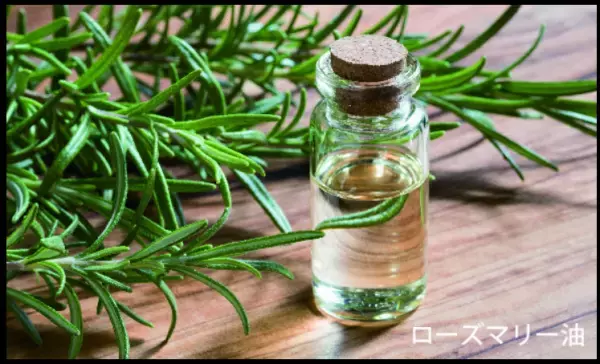 塗るだけで肩コリに有効「AROMA STICK」