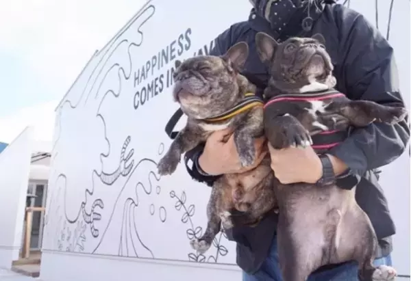 ペットと一緒に楽しめる「グランピング」