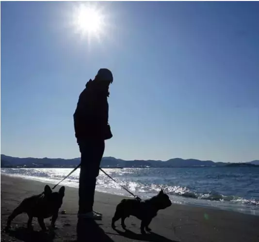 ペットと一緒に楽しめる「グランピング」