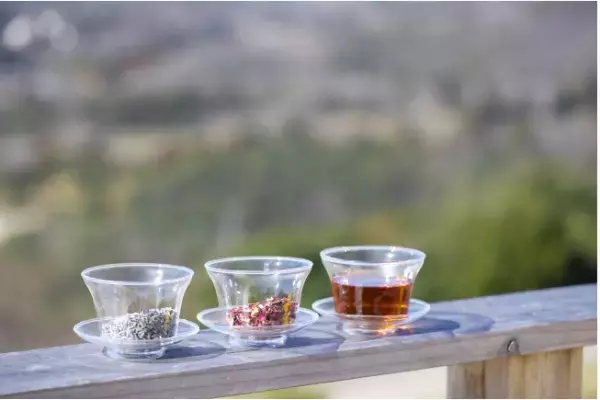 グランピング施設で「デトックス」プランがスタート