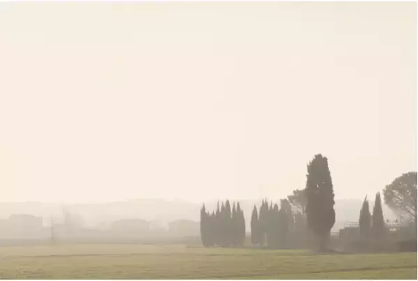 ジュエリーブランドが手がける「ハンドクリーム」