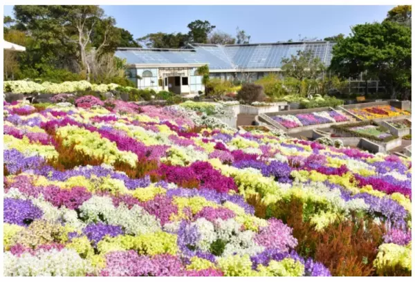 伊豆の4施設が春のキャンペーンを実施